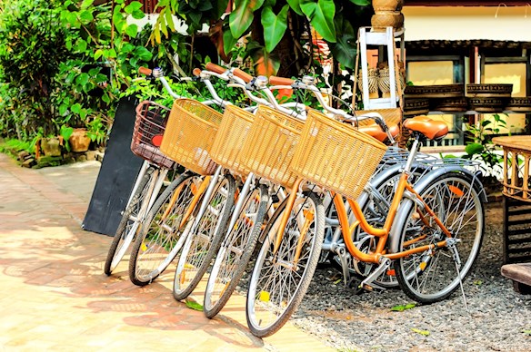 Fietsen op KrisKras-reis Fietsen op KrisKras-reis